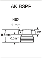 1/8"-28 BSPP Flush Fitting